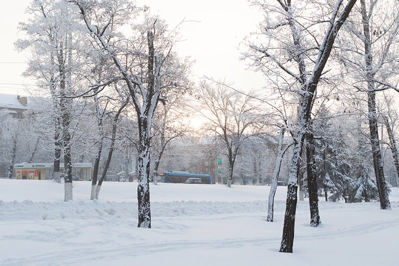 Белые дни. Белгороду осталось совсем недолго находиться под снегом перед скорым потеплением (фото) - фото 9 Белые дни. Белгороду осталось совсем недолго находиться под снегом перед скорым потеплением (фото) - фото 9