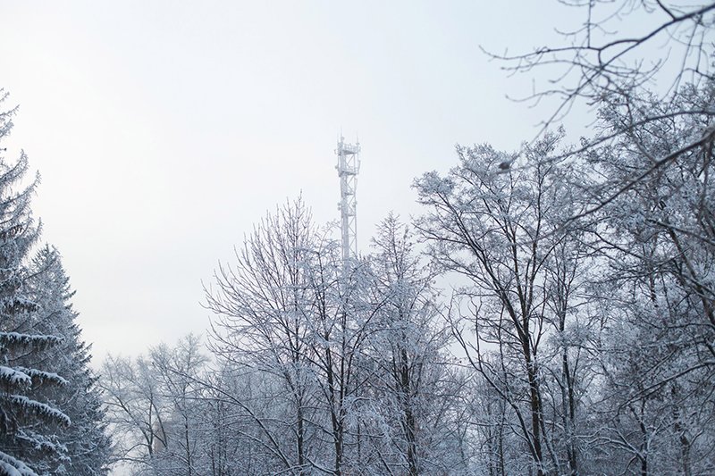 Белые дни. Белгороду осталось совсем недолго находиться под снегом перед скорым потеплением (фото) - фото 6 Белые дни. Белгороду осталось совсем недолго находиться под снегом перед скорым потеплением (фото) - фото 6