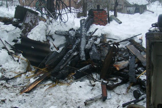 У Гадячі врятували рідкісних голубів від вогню (фото) - фото 1 У Гадячі врятували рідкісних голубів від вогню (фото) - фото 1