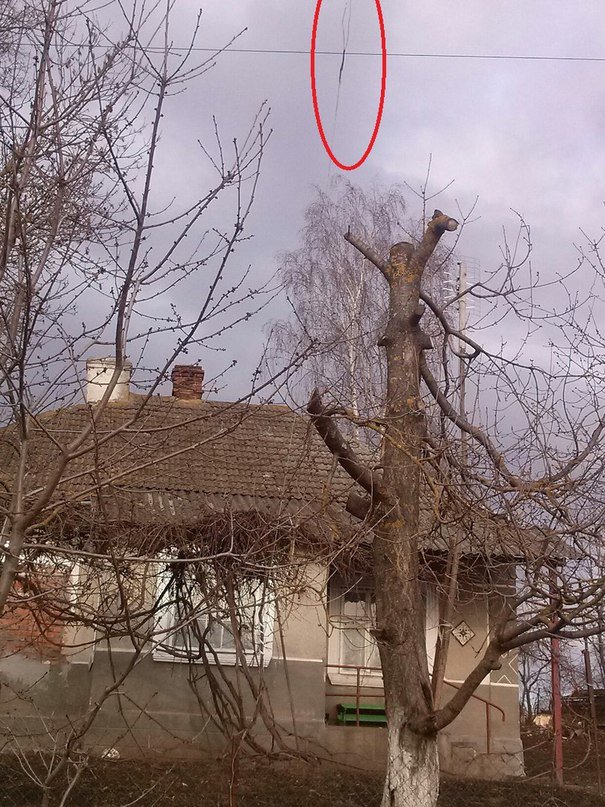 Мешканці Тернопільщини Мешканці Тернопільщини