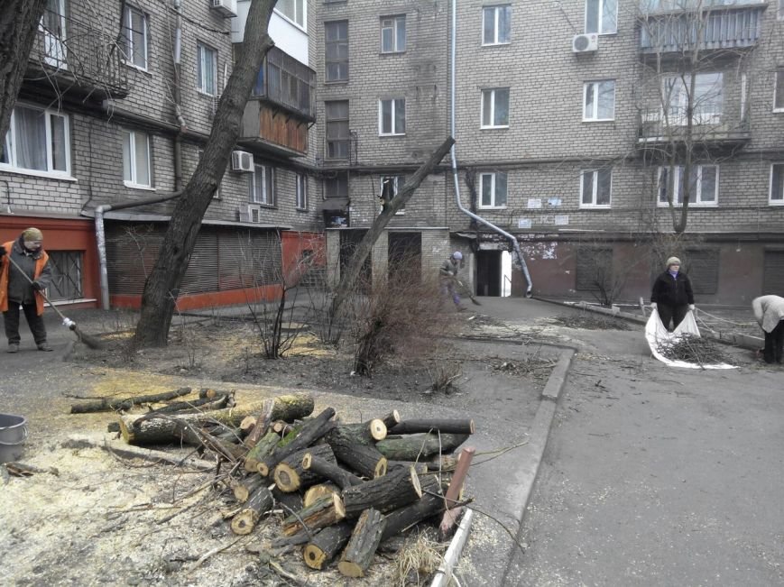 В центре Запорожья коммунальщики спиливают деревья, горожане против, - ФОТО (фото) - фото 1 В центре Запорожья коммунальщики спиливают деревья, горожане против, - ФОТО (фото) - фото 1