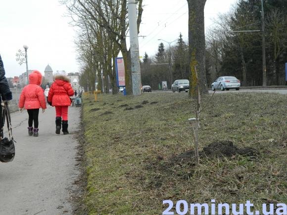 Тернополяни почали ламати гілки італійських каштанів на набережній (фото) (фото) - фото 1 Тернополяни почали ламати гілки італійських каштанів на набережній (фото) (фото) - фото 1