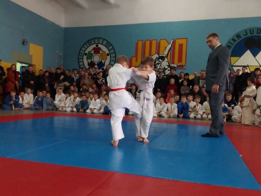 Большое Доброполье на чемпионате по дзюдо представляли 20 спортсменов (фото) - фото 1 Большое Доброполье на чемпионате по дзюдо представляли 20 спортсменов (фото) - фото 1
