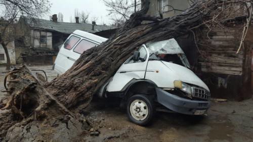 В Одессе ветер с корнем вырвал дерево и опрокинул на микроавтобус (ФОТО) (фото) - фото 1