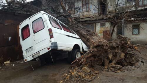 В Одессе ветер с корнем вырвал дерево и опрокинул на микроавтобус (ФОТО) (фото) - фото 1