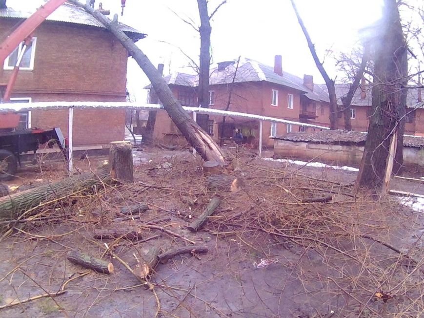 В Кривом Роге рухнувшее дерево разрушило кровлю и несущую балку жилого дома (ФОТО) (фото) - фото 1 В Кривом Роге рухнувшее дерево разрушило кровлю и несущую балку жилого дома (ФОТО) (фото) - фото 1