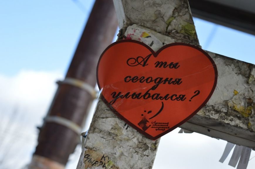 В Северодонецке проходит акция В Северодонецке проходит акция