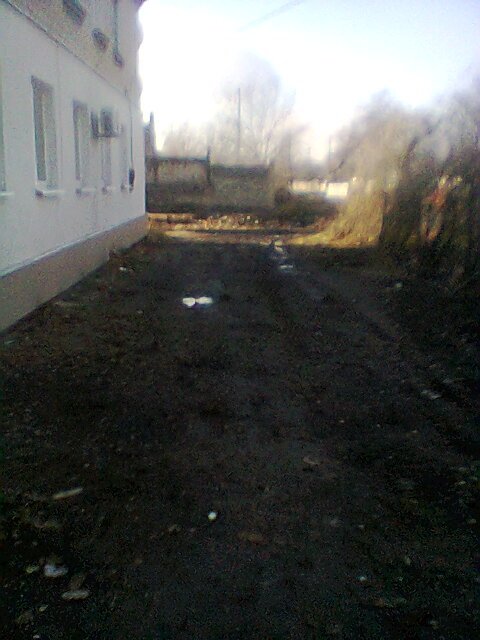 Вандализм по-макеевски: соседи уничтожили клумбу на придомовой территории (фото) - фото 1 Вандализм по-макеевски: соседи уничтожили клумбу на придомовой территории (фото) - фото 1