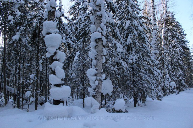 В Нижневартовске провели рейд с целью найти место для отдыха в городе (фото) - фото 1 В Нижневартовске провели рейд с целью найти место для отдыха в городе (фото) - фото 1