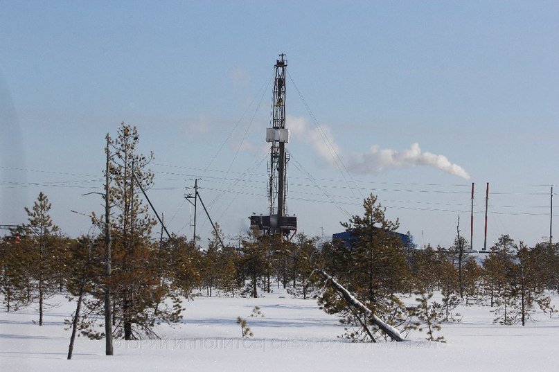 В Нижневартовске провели рейд с целью найти место для отдыха в городе (фото) - фото 1 В Нижневартовске провели рейд с целью найти место для отдыха в городе (фото) - фото 1
