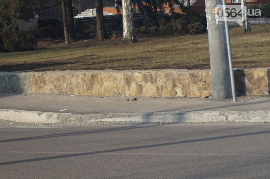 В Кривом Роге В Кривом Роге