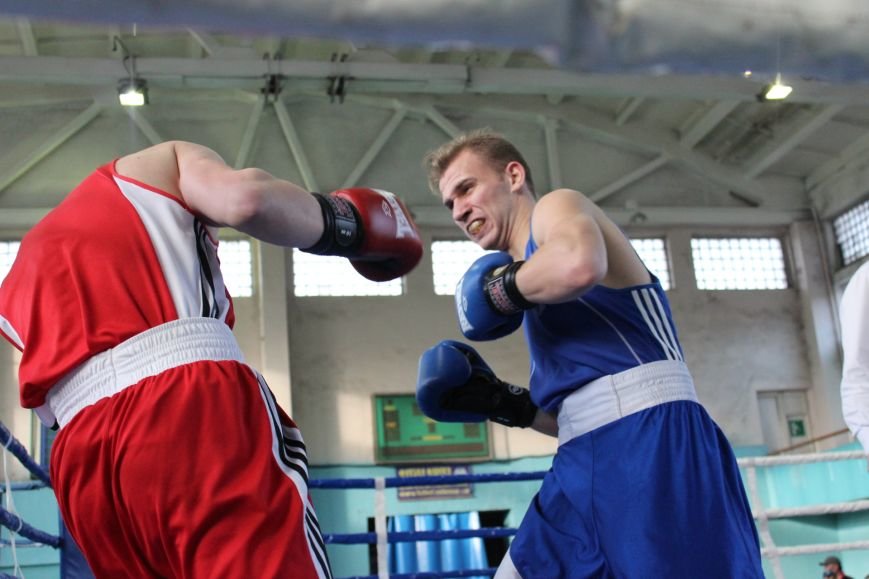Одесские боксеры «порвали» три страны (ФОТО, ВИДЕО) (фото) - фото 1