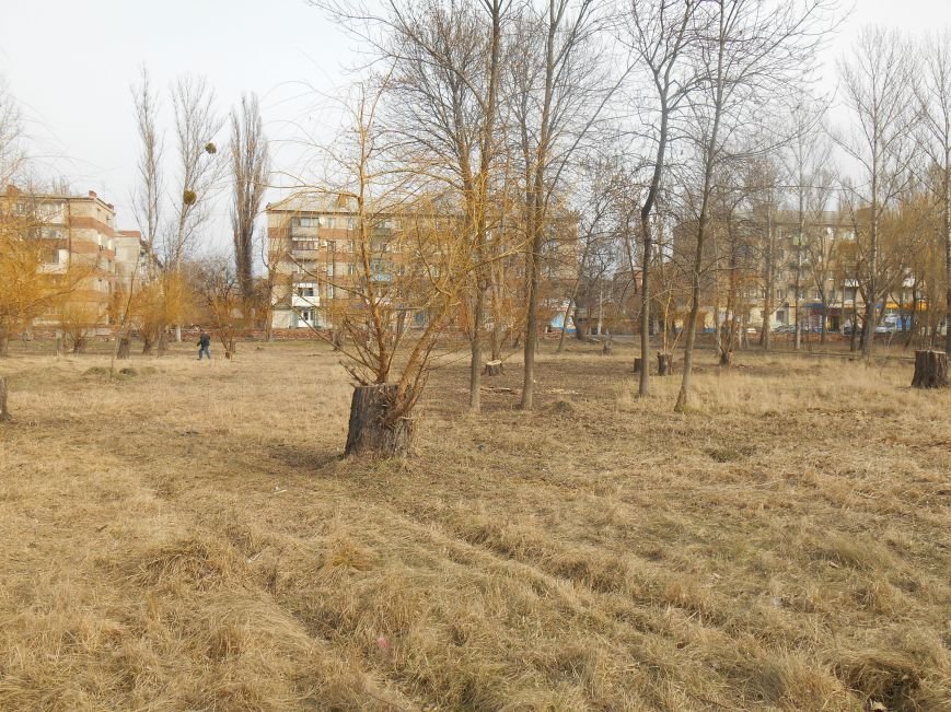 Сегодня в городском парке Славянска выбирали место для реализации новых проектов (фото) - фото 4 Сегодня в городском парке Славянска выбирали место для реализации новых проектов (фото) - фото 4