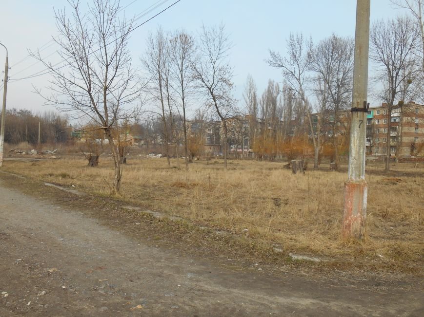Сегодня в городском парке Славянска выбирали место для реализации новых проектов (фото) - фото 5 Сегодня в городском парке Славянска выбирали место для реализации новых проектов (фото) - фото 5