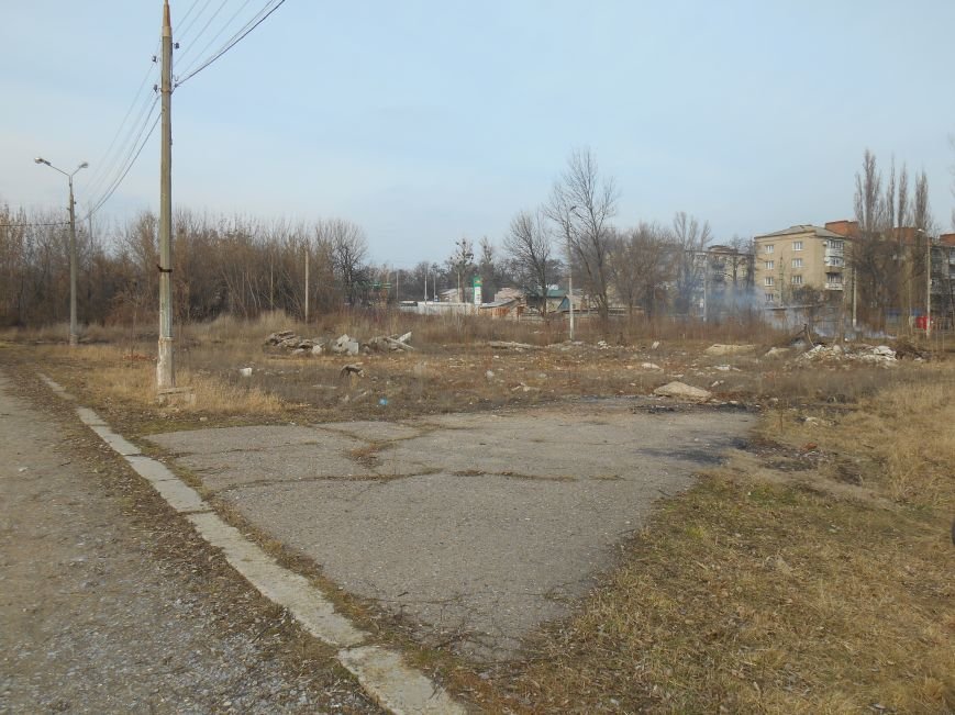 Сегодня в городском парке Славянска выбирали место для реализации новых проектов (фото) - фото 3 Сегодня в городском парке Славянска выбирали место для реализации новых проектов (фото) - фото 3