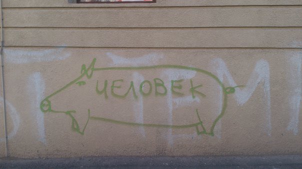 Одессу атакуют граффити-хрюшки (ФОТО) (фото) - фото 1