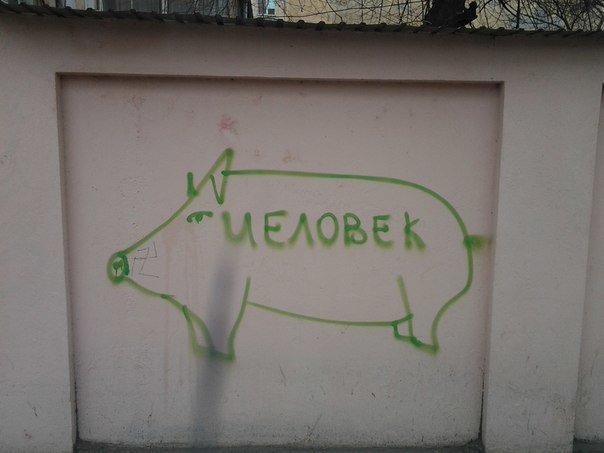 Одессу атакуют граффити-хрюшки (ФОТО) (фото) - фото 1