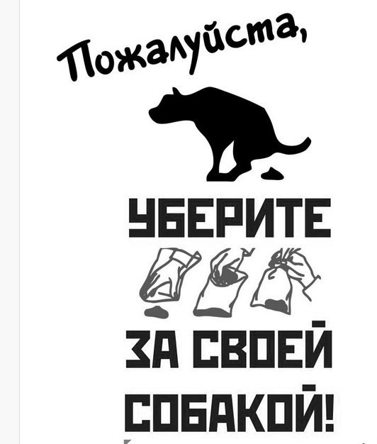 Пожалуйста, уберите за своей собакой! В Одессе хотят распространять красноречивые листовки (ФОТО) (фото) - фото 1