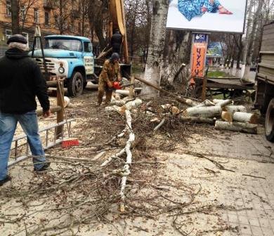 В Херсоне деревья уничтожают под присмотром эколога (фото) - фото 1 В Херсоне деревья уничтожают под присмотром эколога (фото) - фото 1