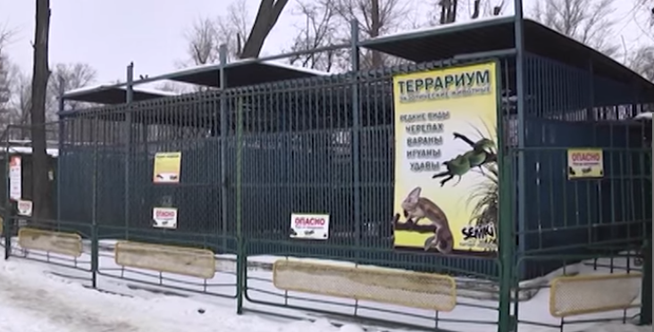 «Нечеловеческие» условия: спустя почти сорок лет «заключенные» днепропетровского зоопарка вернутся в нормальные условия содержания (фото) - фото 7 «Нечеловеческие» условия: спустя почти сорок лет «заключенные» днепропетровского зоопарка вернутся в нормальные условия содержания (фото) - фото 7