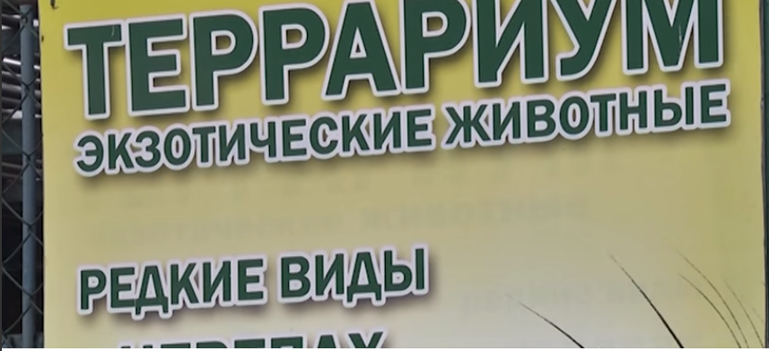 «Нечеловеческие» условия: спустя почти сорок лет «заключенные» днепропетровского зоопарка вернутся в нормальные условия содержания (фото) - фото 8 «Нечеловеческие» условия: спустя почти сорок лет «заключенные» днепропетровского зоопарка вернутся в нормальные условия содержания (фото) - фото 8