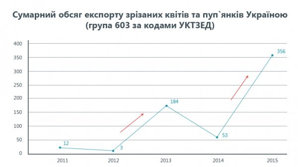 Откуда и как попадают в Украину цветы к 8 Марта, фото-5 Откуда и как попадают в Украину цветы к 8 Марта, фото-5
