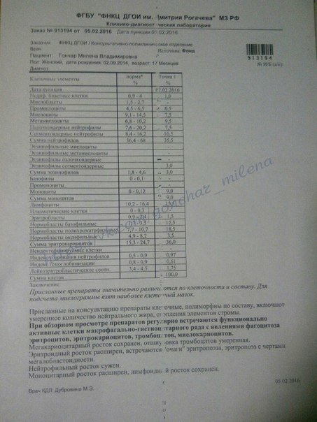 Маленькая ялтинка срочно нуждается в помощи (фото) - фото 1 Маленькая ялтинка срочно нуждается в помощи (фото) - фото 1