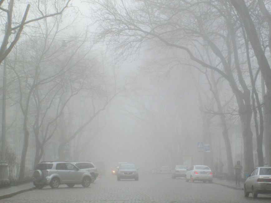 Сказочная Одесса: Город в тумане (ФОТОРЕПОРТАЖ) (фото) - фото 1