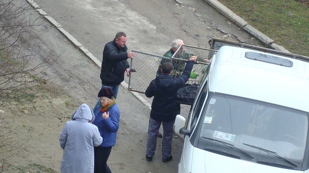 У Тернополі збили собаку і залишили помирати (Фото) (фото) - фото 2 У Тернополі збили собаку і залишили помирати (Фото) (фото) - фото 2