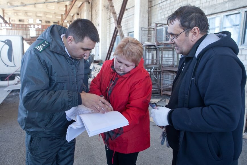 досмотр документов досмотр документов