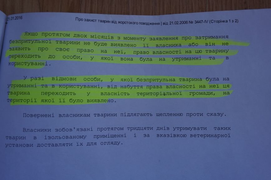С помощью волонтеров в Кривом Роге стерилизовали первых 50 бездомных собак за бюджетные деньги (ФОТО) (фото) - фото 1 С помощью волонтеров в Кривом Роге стерилизовали первых 50 бездомных собак за бюджетные деньги (ФОТО) (фото) - фото 1