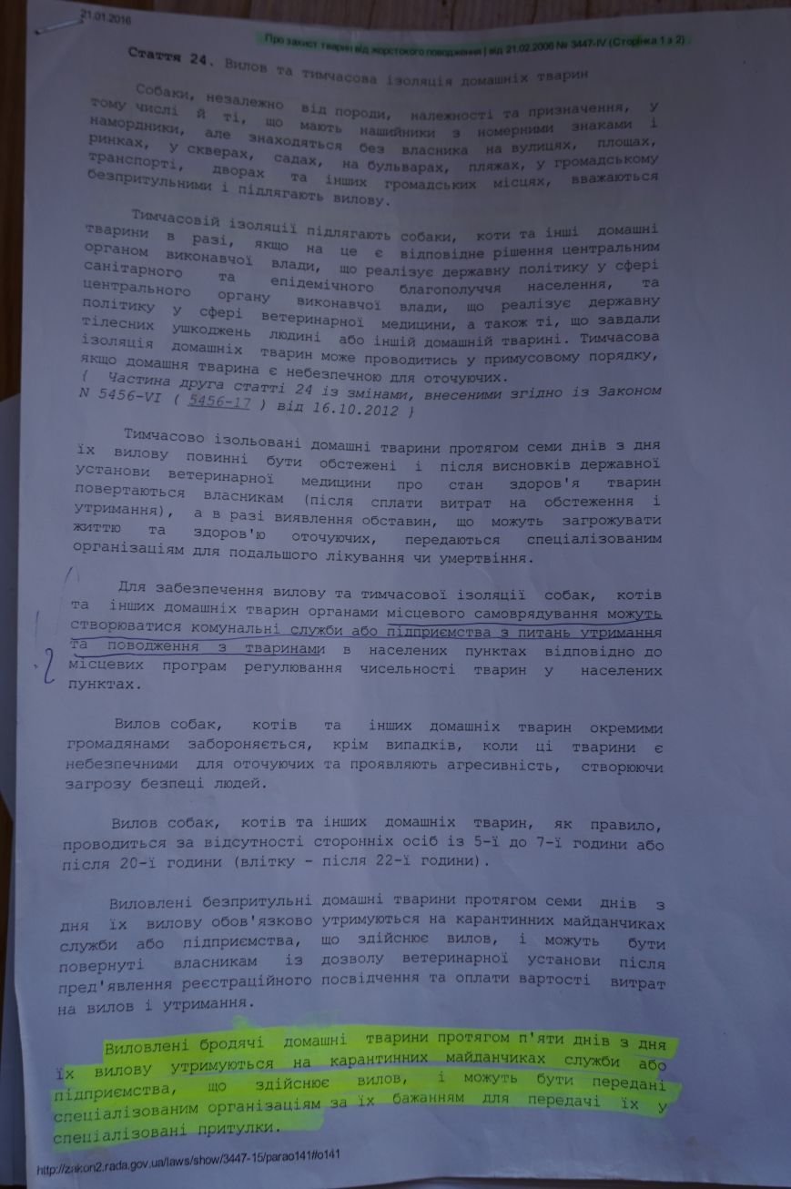 С помощью волонтеров в Кривом Роге стерилизовали первых 50 бездомных собак за бюджетные деньги (ФОТО) (фото) - фото 1 С помощью волонтеров в Кривом Роге стерилизовали первых 50 бездомных собак за бюджетные деньги (ФОТО) (фото) - фото 1