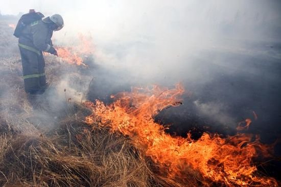 В Днепродзержинске массово сжигают сухую траву и листву (фото) - фото 1 В Днепродзержинске массово сжигают сухую траву и листву (фото) - фото 1