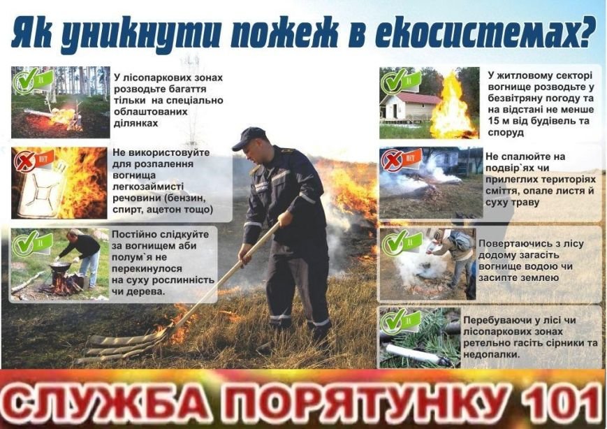 В Днепродзержинске массово сжигают сухую траву и листву (фото) - фото 3 В Днепродзержинске массово сжигают сухую траву и листву (фото) - фото 3