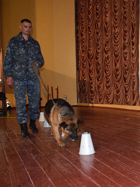 спасатели5 спасатели5