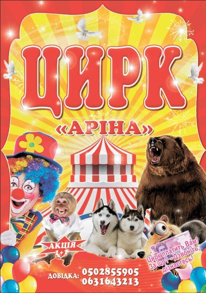 Цирковая феерия, которая достойна вашего внимания (фото) - фото 1 Цирковая феерия, которая достойна вашего внимания (фото) - фото 1