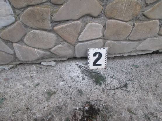 На Львівщині невідомі кинули гранату на подвір'я бізнесмена: опубліковані фото з місця події (ФОТО) (фото) - фото 1 На Львівщині невідомі кинули гранату на подвір'я бізнесмена: опубліковані фото з місця події (ФОТО) (фото) - фото 1