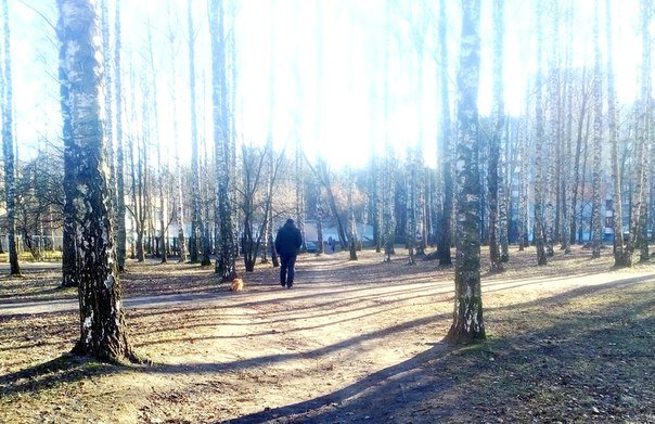 «Собака уже «расслабилась», мне её насильно тащить на специальную лужайку?». Где и как выгуливают собак в Новополоцке (фото) - фото 2 «Собака уже «расслабилась», мне её насильно тащить на специальную лужайку?». Где и как выгуливают собак в Новополоцке (фото) - фото 2