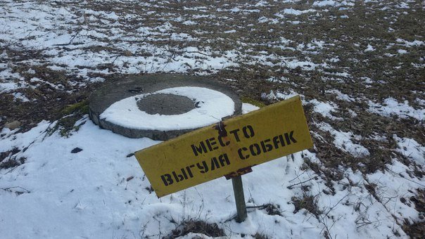 «Собака уже «расслабилась», мне её насильно тащить на специальную лужайку?». Где и как выгуливают собак в Новополоцке (фото) - фото 3 «Собака уже «расслабилась», мне её насильно тащить на специальную лужайку?». Где и как выгуливают собак в Новополоцке (фото) - фото 3