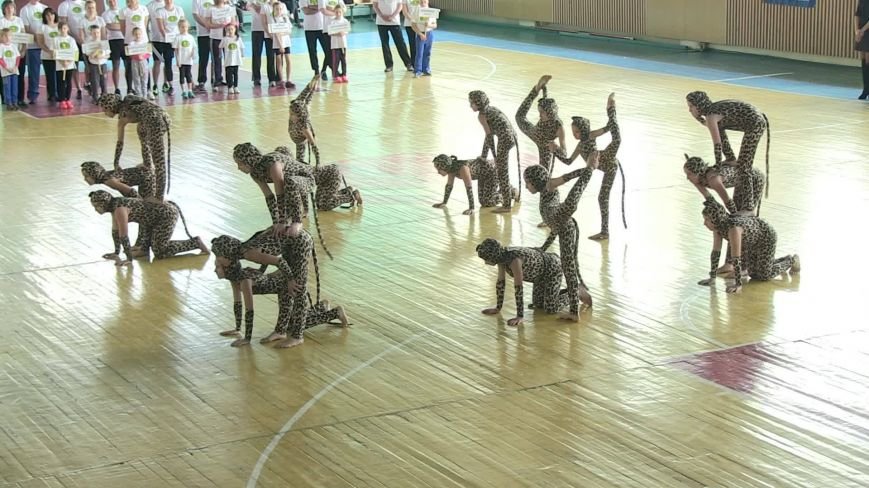 «Тато, мама, я – спортивна сім’я» - обласні змагання у Білій Церкві (фото) - фото 12 «Тато, мама, я – спортивна сім’я» - обласні змагання у Білій Церкві (фото) - фото 12
