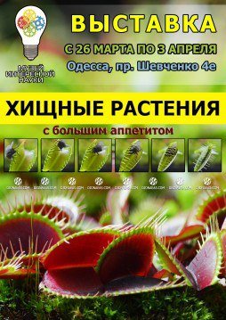 Посетить 30 стран и увидеть ожившие статуи: 5 вариантов прекрасного вечера в Одессе (ФОТО, ВИДЕО) (фото) - фото 4