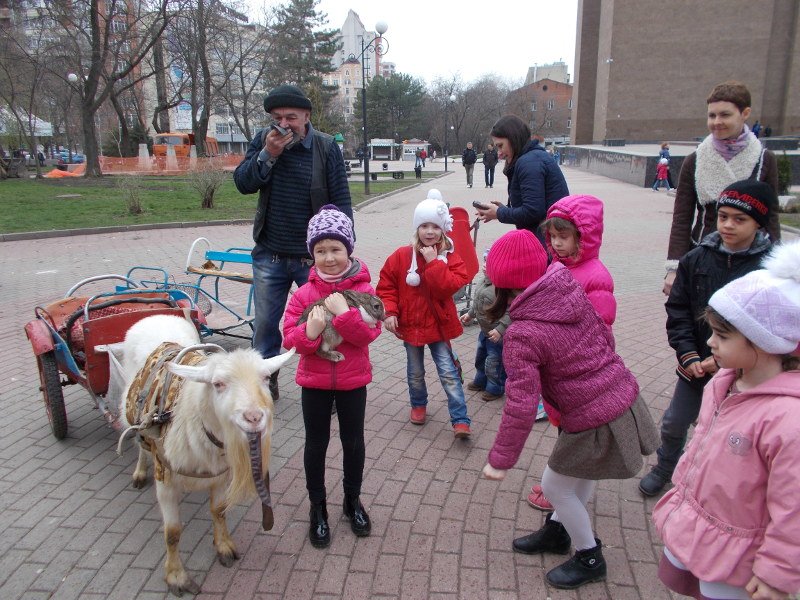 козел козел
