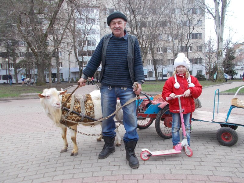козелгл козелгл
