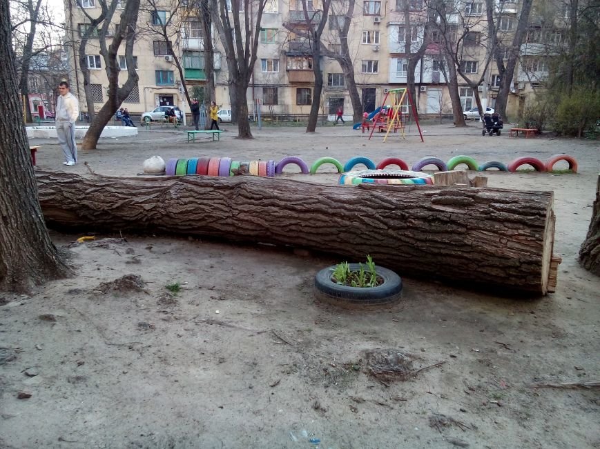 Опасный аттракцион: Одесские коммунальщики забыли спиленное дерево на детской площадке (ФОТО) (фото) - фото 1
