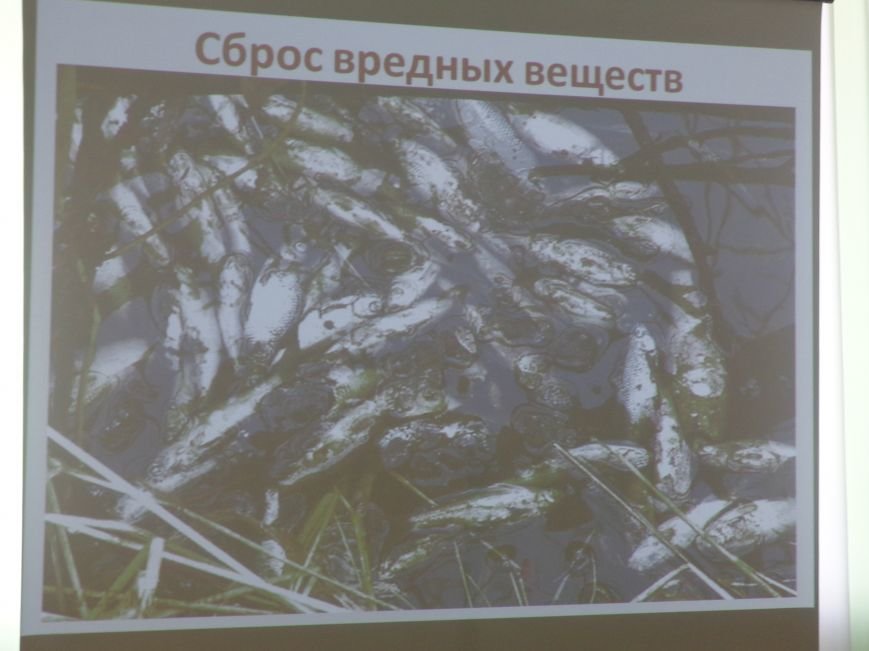 «Наука превратила нас в богов, а мы не научились быть людьми» - в К... «Наука превратила нас в богов, а мы не научились быть людьми» - в Красноармейске презентовали книгу «Путешествия по рекам родного края» (фото) - фо...