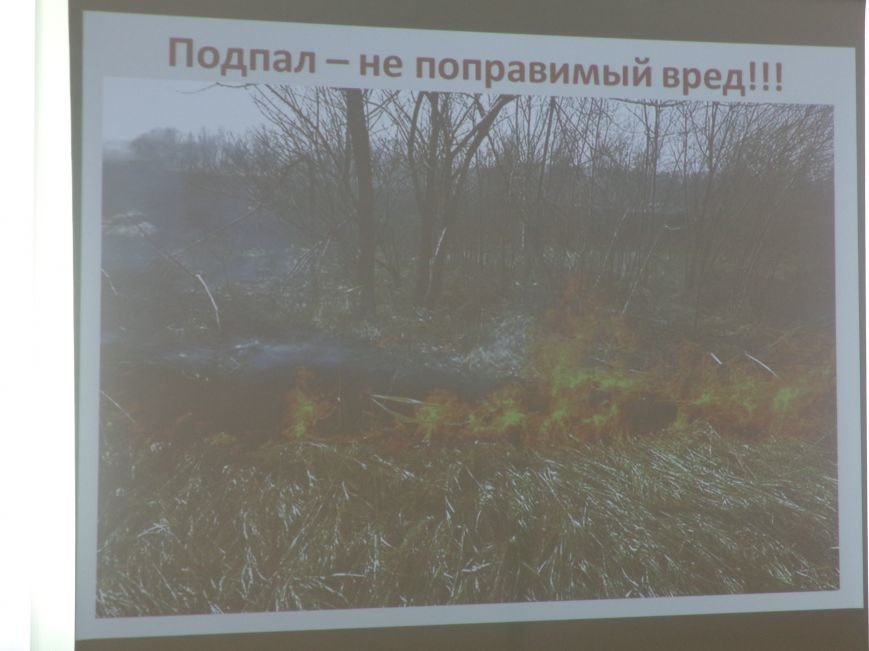 «Наука превратила нас в богов, а мы не научились быть людьми» - в К... «Наука превратила нас в богов, а мы не научились быть людьми» - в Красноармейске презентовали книгу «Путешествия по рекам родного края» (фото) - фо...