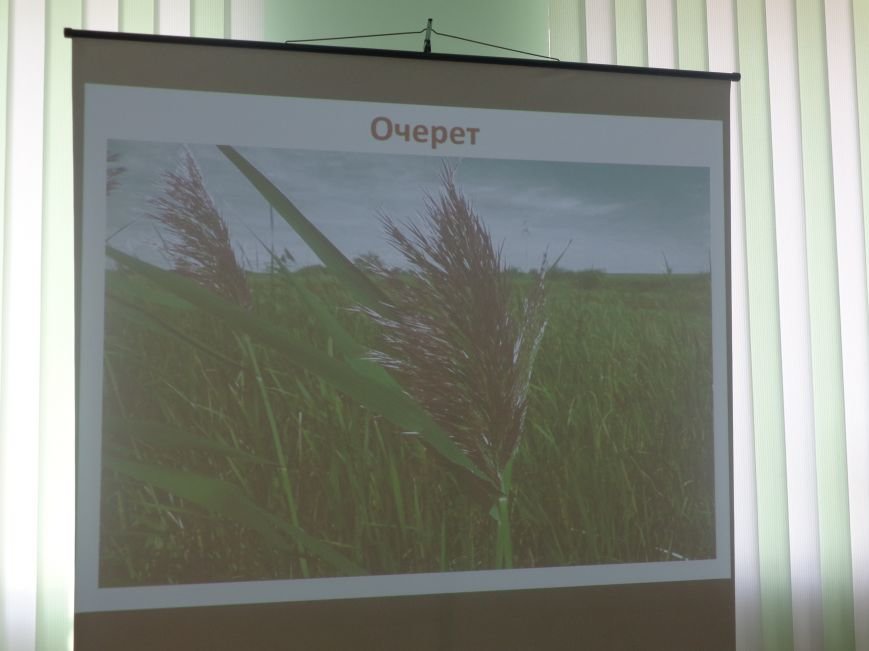 «Наука превратила нас в богов, а мы не научились быть людьми» - в К... «Наука превратила нас в богов, а мы не научились быть людьми» - в Красноармейске презентовали книгу «Путешествия по рекам родного края» (фото) - фо...