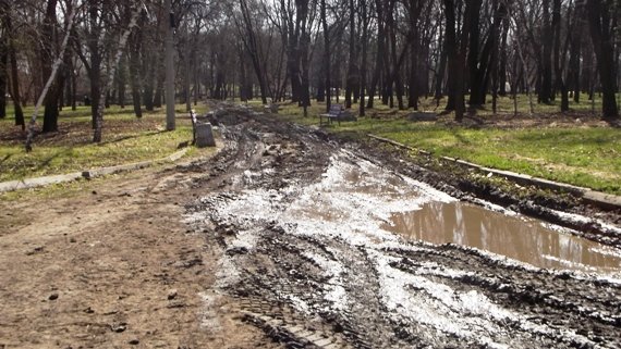 В Краматорске идет реконструкция Сада Бернацкого (ФОТО, ВИДЕО) (фот... В Краматорске идет реконструкция Сада Бернацкого (ФОТО, ВИДЕО) (фото) - фото 6