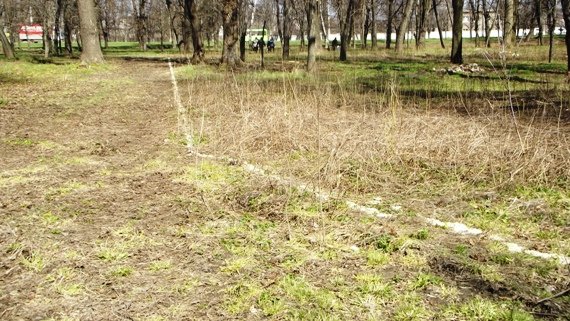 В Краматорске идет реконструкция Сада Бернацкого (ФОТО, ВИДЕО) (фот... В Краматорске идет реконструкция Сада Бернацкого (ФОТО, ВИДЕО) (фото) - фото 8