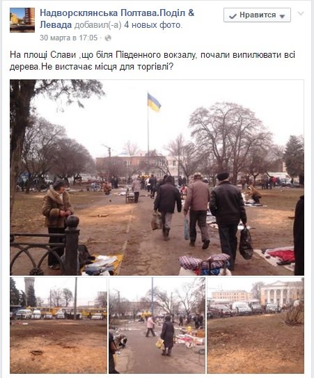 дерева дерева
